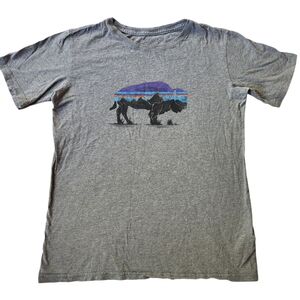 Patagonia Fitz Roy Bison Crew T-Shirt Kids Sz XL 14